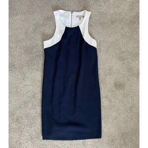 Banana Republic Navy and White Mini Dress